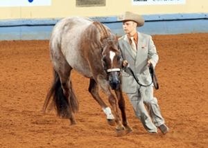AQHYA World AQHYA World Show