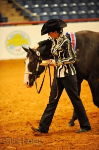 LS_ClassicAmShowmanship showmanship apha.com