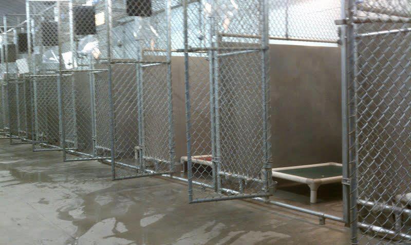 empty shelter empty shelter