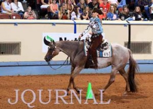 loping aqha