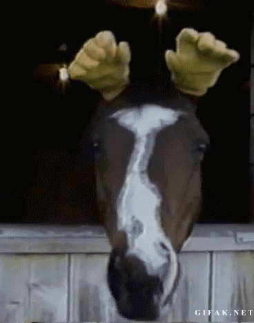 reindeer horse