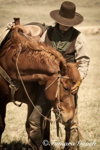 along the dusty trail
