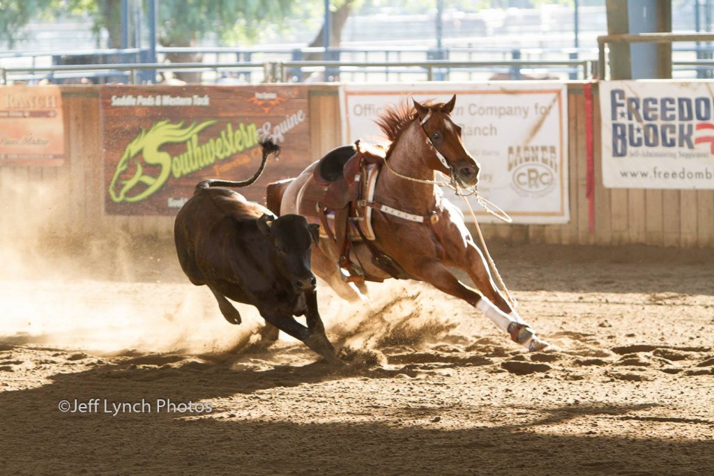 Jeff Lynch Photos