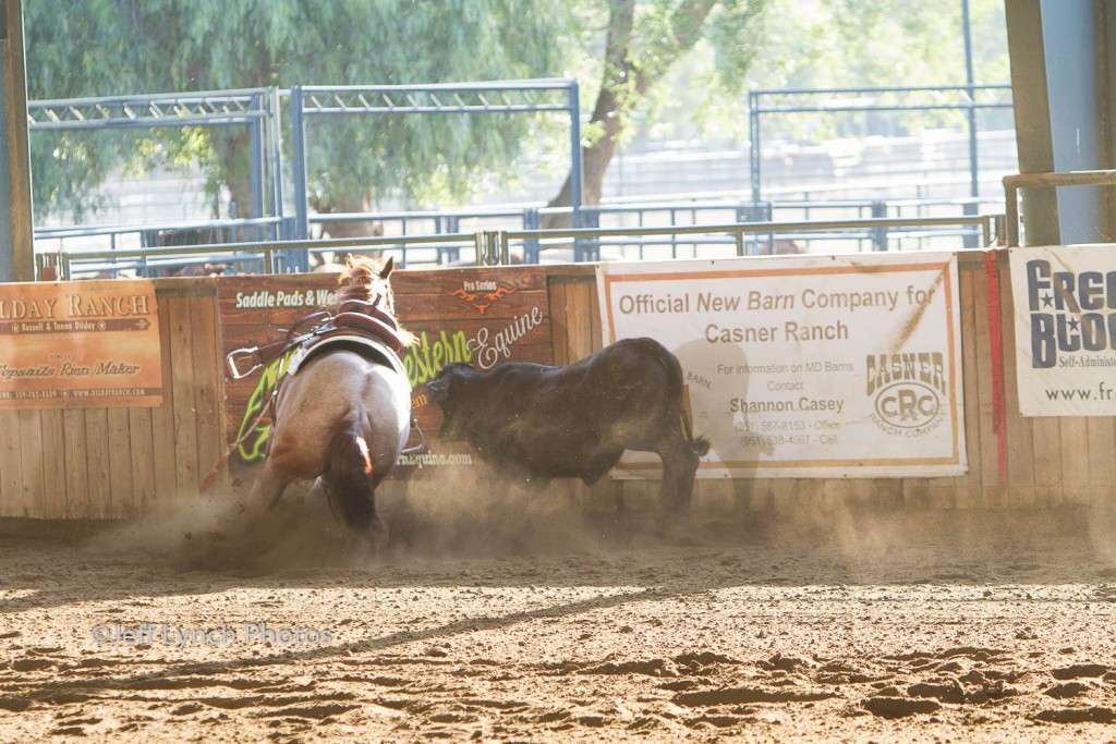Jeff Lynch Photos