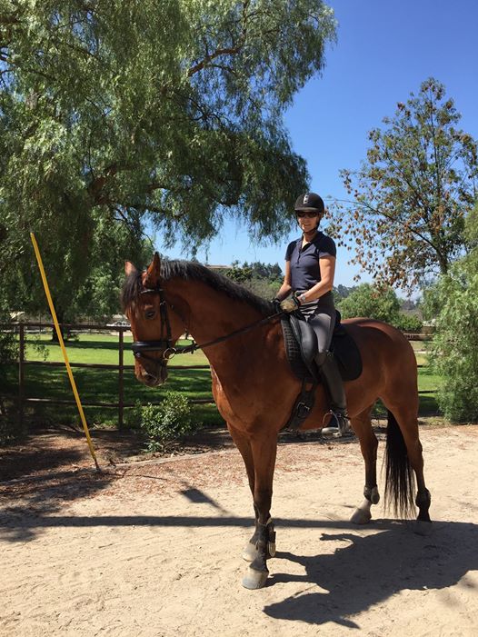 http://www.meloniekesslerdressage.com/