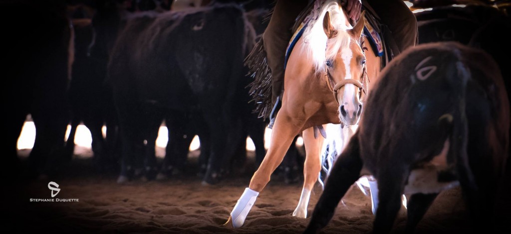 Photo Credit: Stephanie Duquette - From NRCHA Facebook