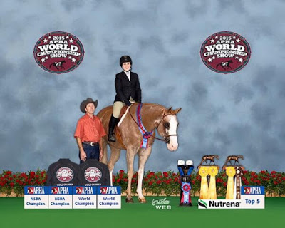 socks world champion 3
