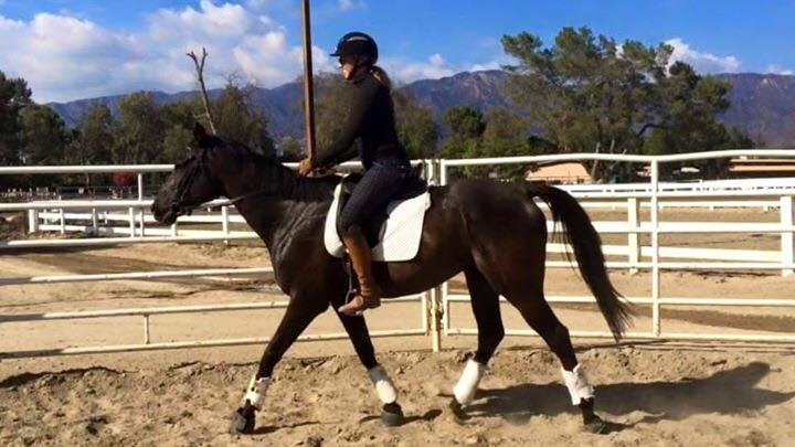 One of our first sessions together in July 2015.