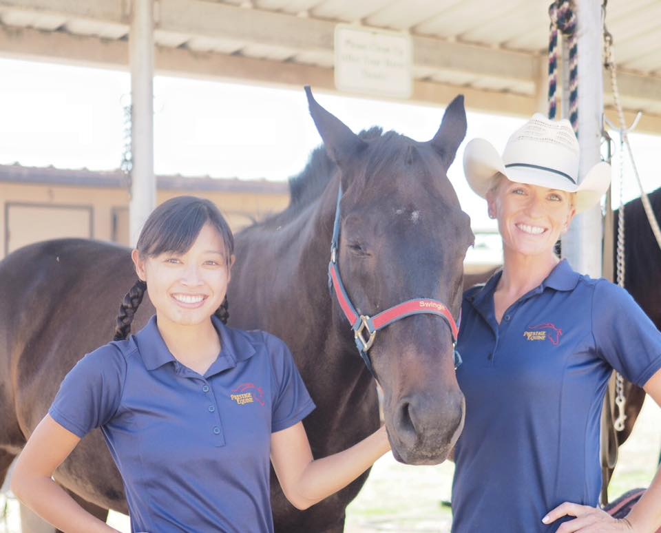 prestige equine